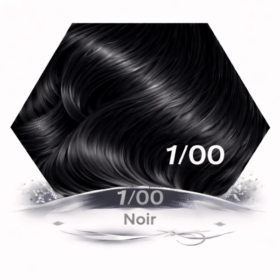 ERAYBA GAMMA NEXT 1/00 NOIR NATUREL 100ML