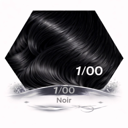 ERAYBA GAMMA NEXT 1/00 NOIR NATUREL 100ML